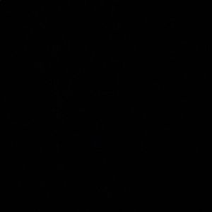 Meet your Posher, Aliisa